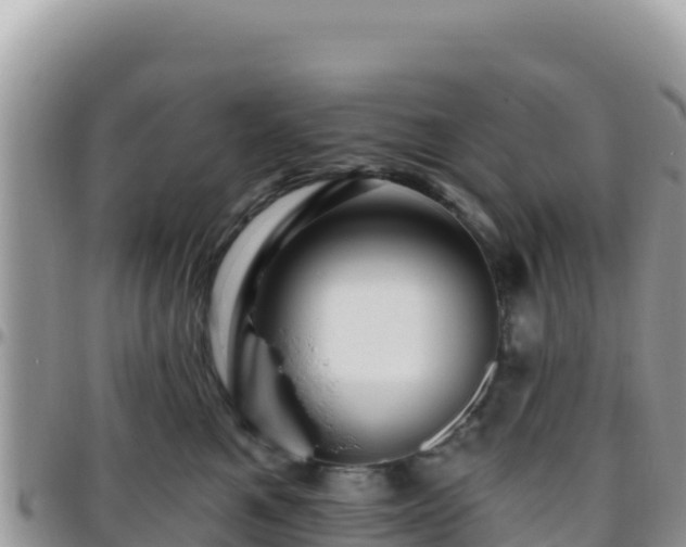 X0000095930521200801181443