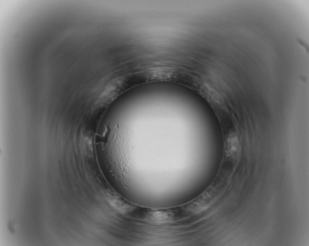X0000095930522200801181443