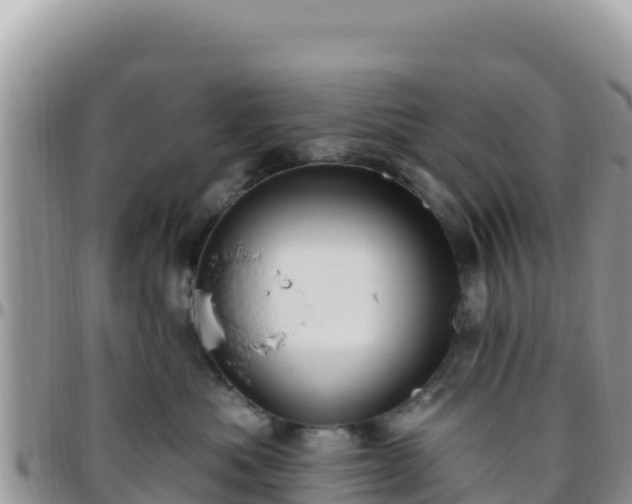 X0000095930525200801181443