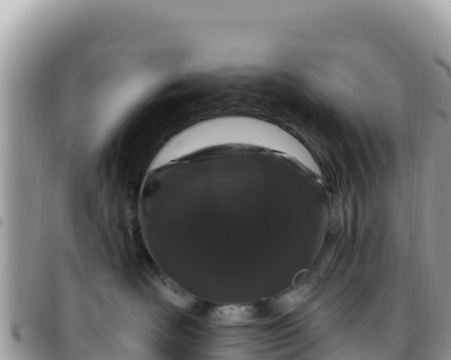 X0000095930526200801181443