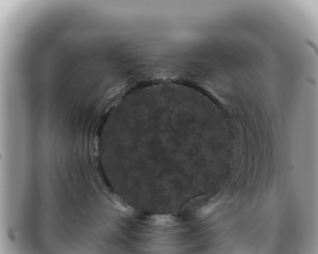 X0000095930528200801181443