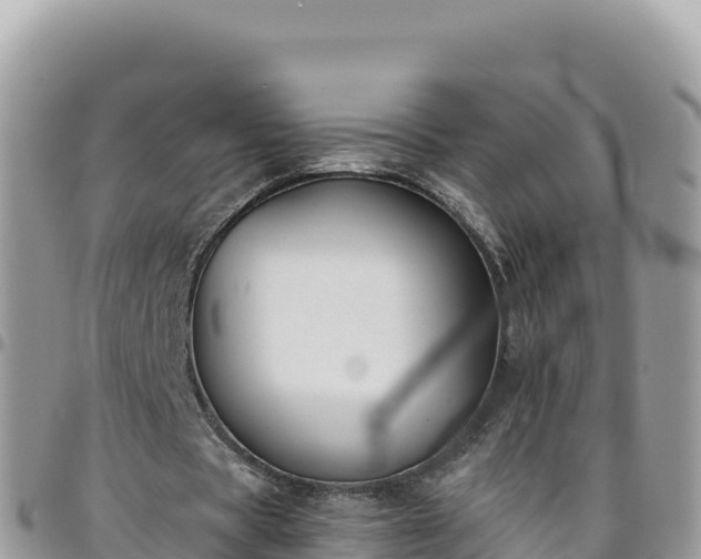 X0000095930529200801181442