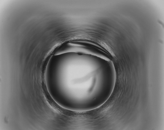 X0000095930530200801181442
