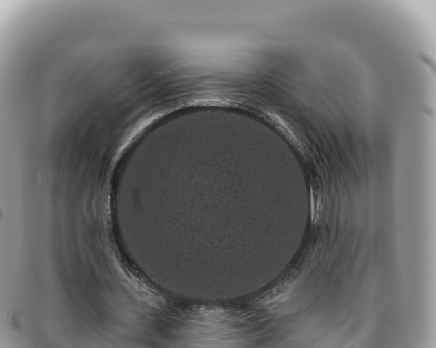 X0000095930531200801181442