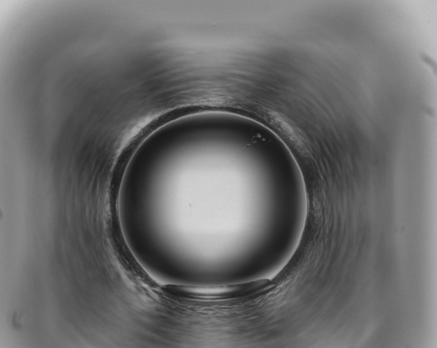 X0000095930532200801181442