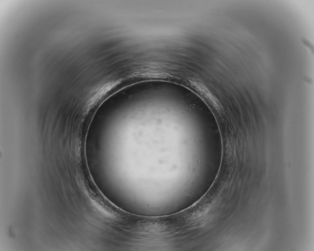 X0000095930533200801181442