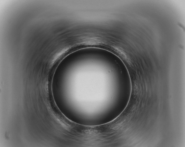 X0000095930535200801181442