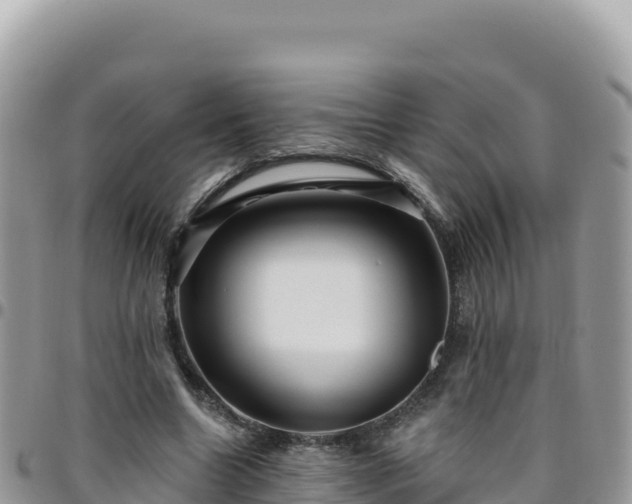 X0000095930538200801181442