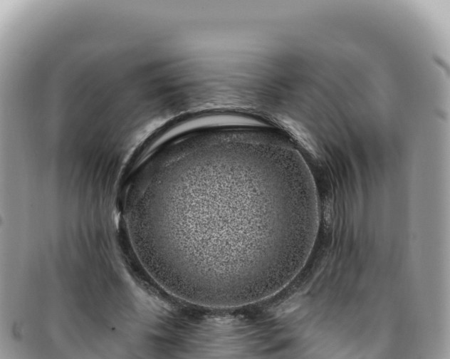X0000095930540200801181442