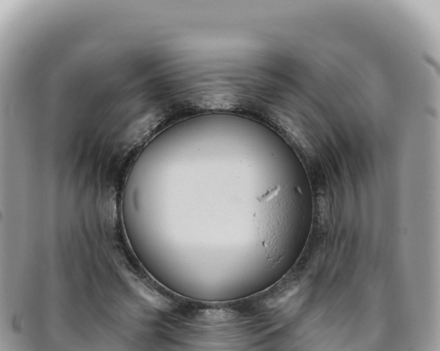 X0000095930541200801181442