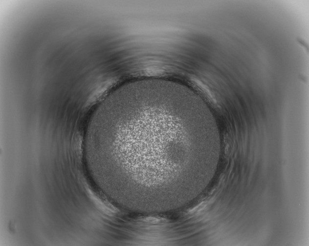 X0000095930542200801181442