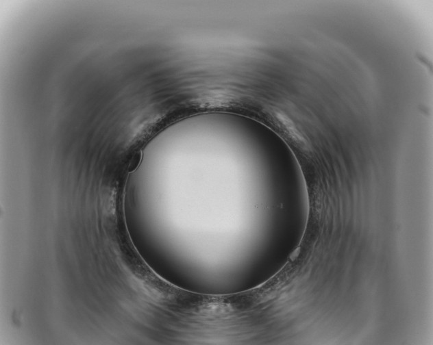 X0000095930543200801181442