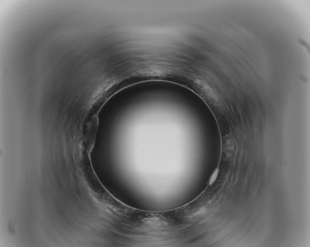X0000095930544200801181442