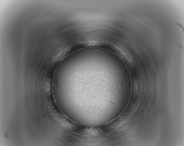 X0000095930545200801181442