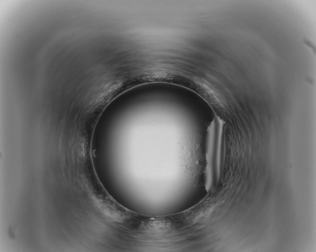 X0000095930546200801181442
