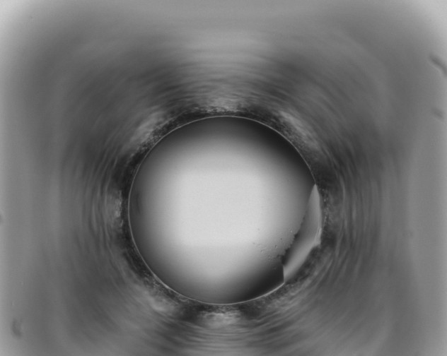 X0000095930548200801181442