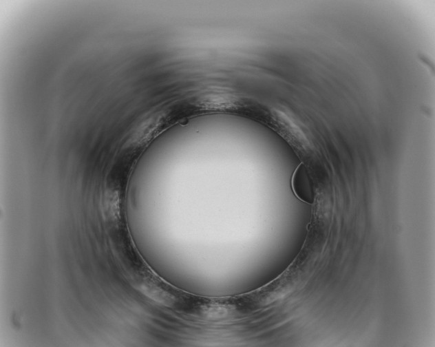 X0000095930549200801181442