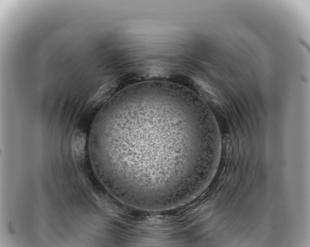X0000095930550200801181442