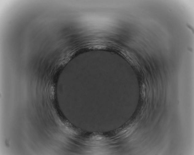 X0000095930551200801181442