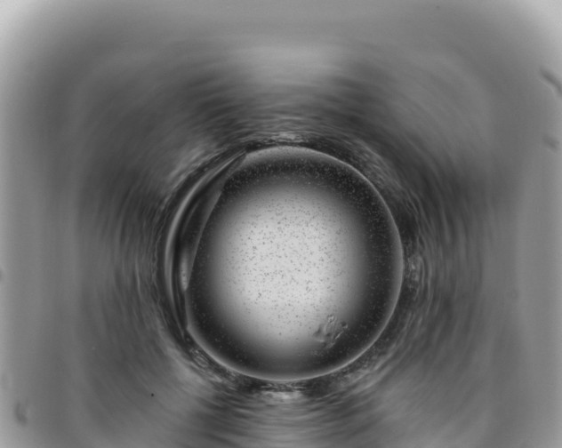 X0000095930552200801181442