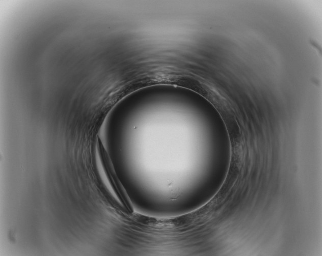 X0000095930554200801181442