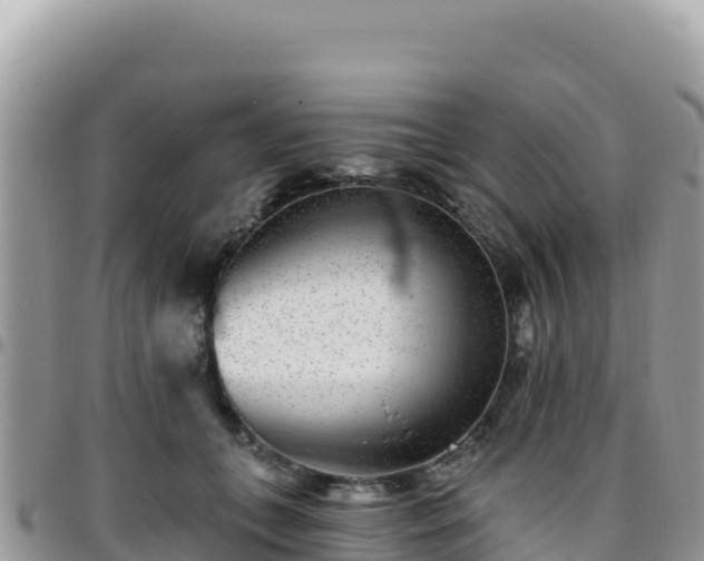 X0000095930559200801181442