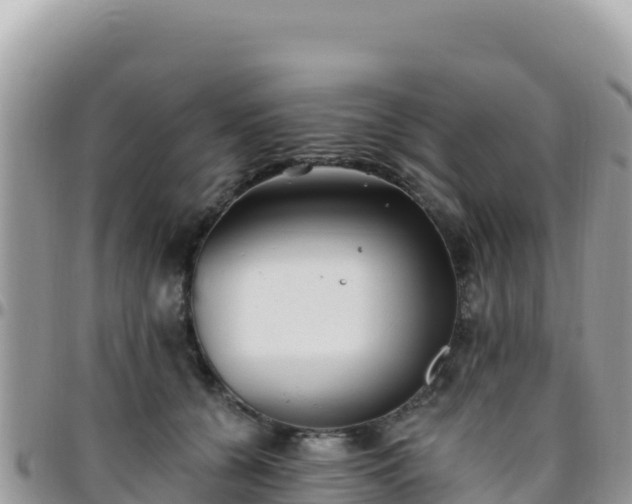 X0000095930560200801181442