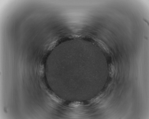 X0000095930563200801181442