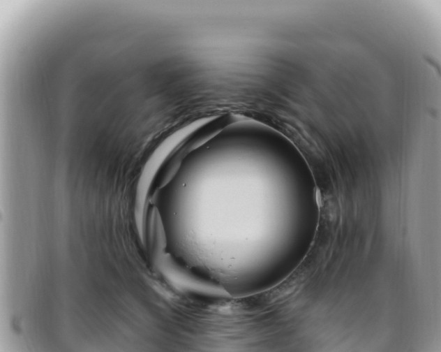 X0000095930564200801181442