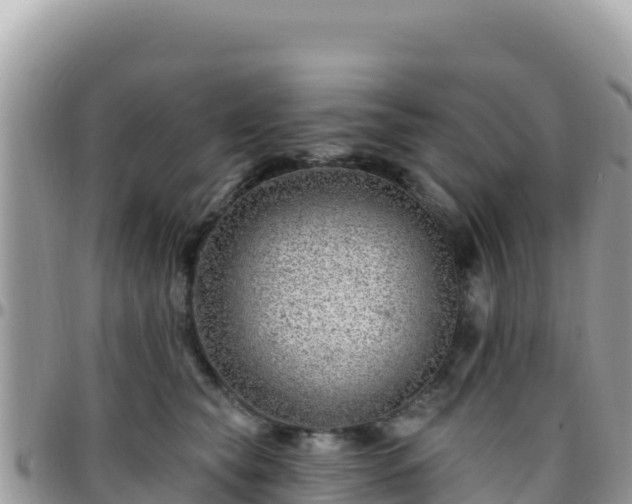 X0000095930565200801181442