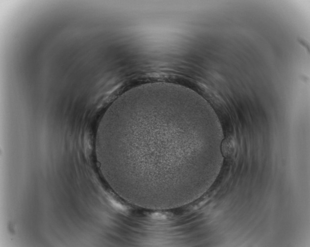 X0000095930566200801181442