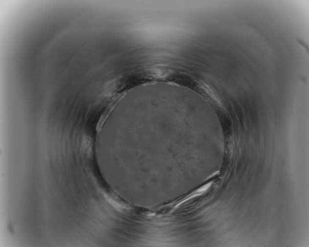 X0000095930568200801181442