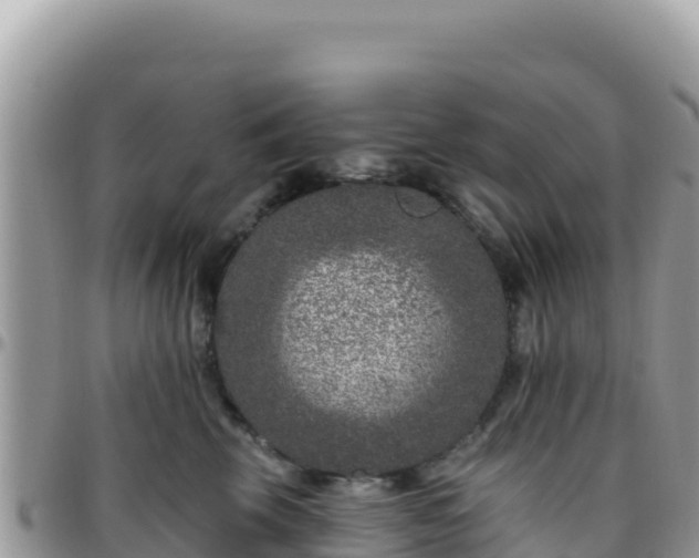 X0000095930569200801181442