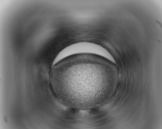 X0000095930573200801181443