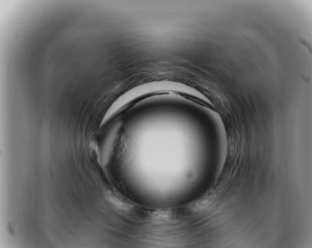 X0000095930574200801181443