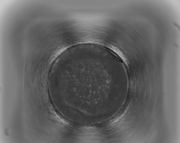 X0000095930577200801181442