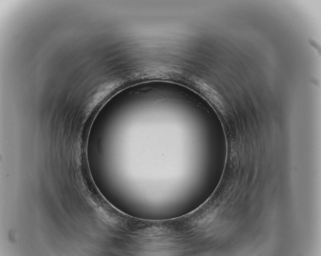 X0000095930578200801181442