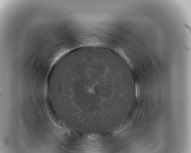 X0000095930579200801181442