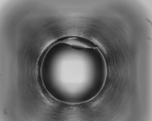 X0000095930580200801181442