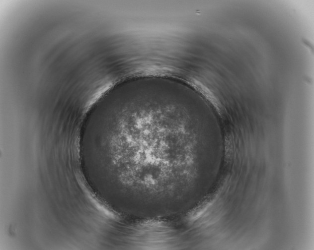 X0000095930581200801181442