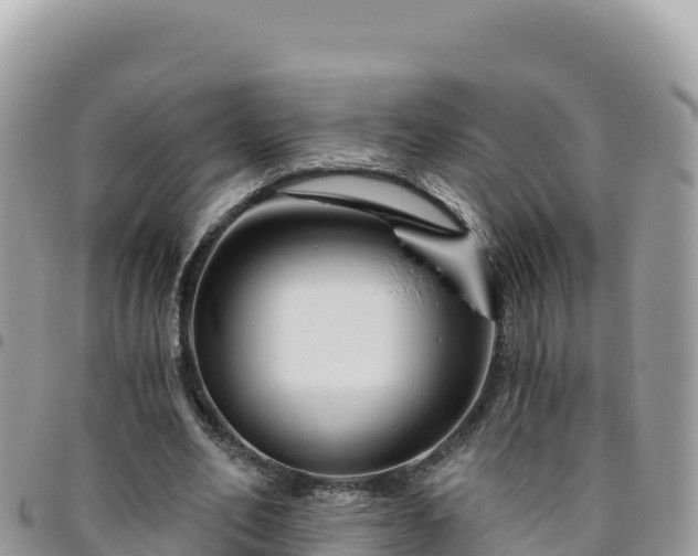 X0000095930582200801181442