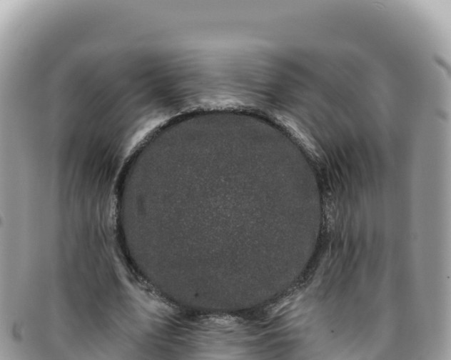 X0000095930583200801181442