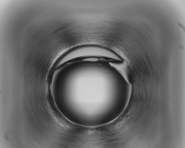 X0000095930584200801181442