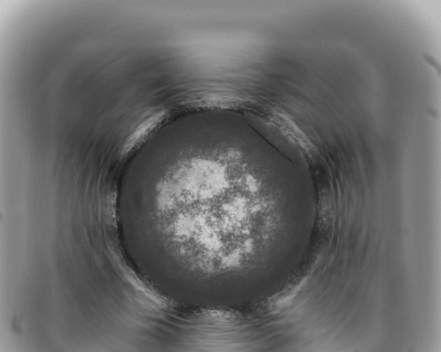 X0000095930585200801181442