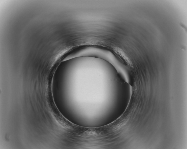 X0000095930588200801181442