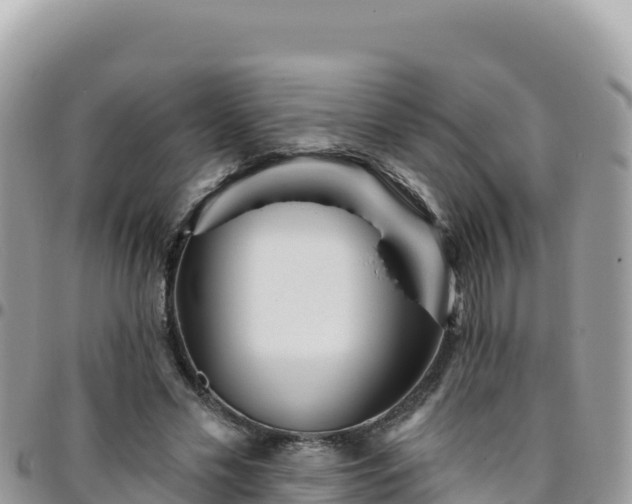 X0000095930589200801181442