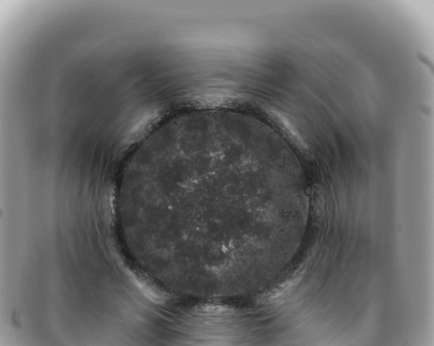 X0000095930590200801181442