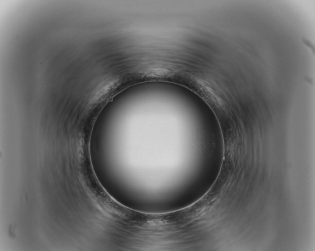 X0000095930591200801181442