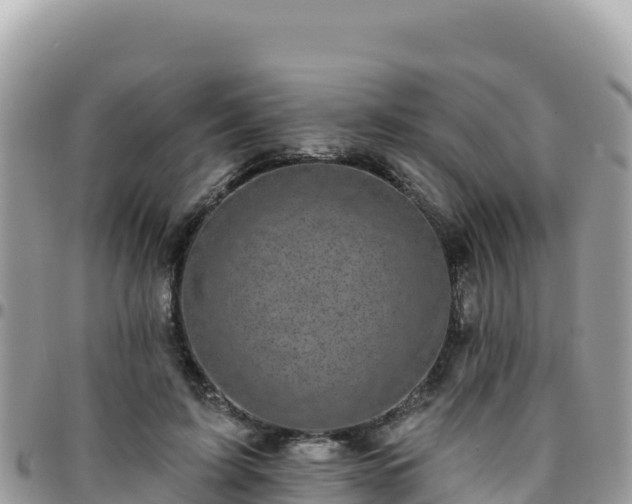 X0000095930595200801181442