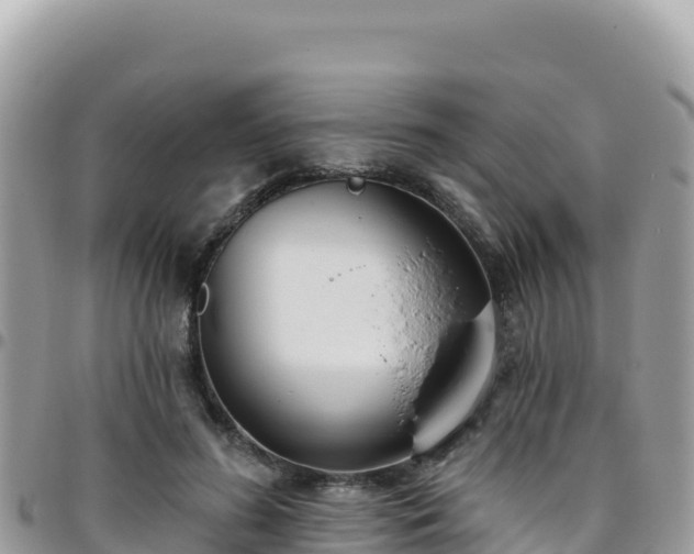 X0000095930596200801181442